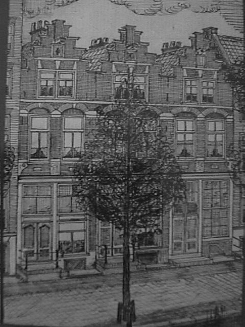 BLOEMGR2.jpg (155167 bytes)