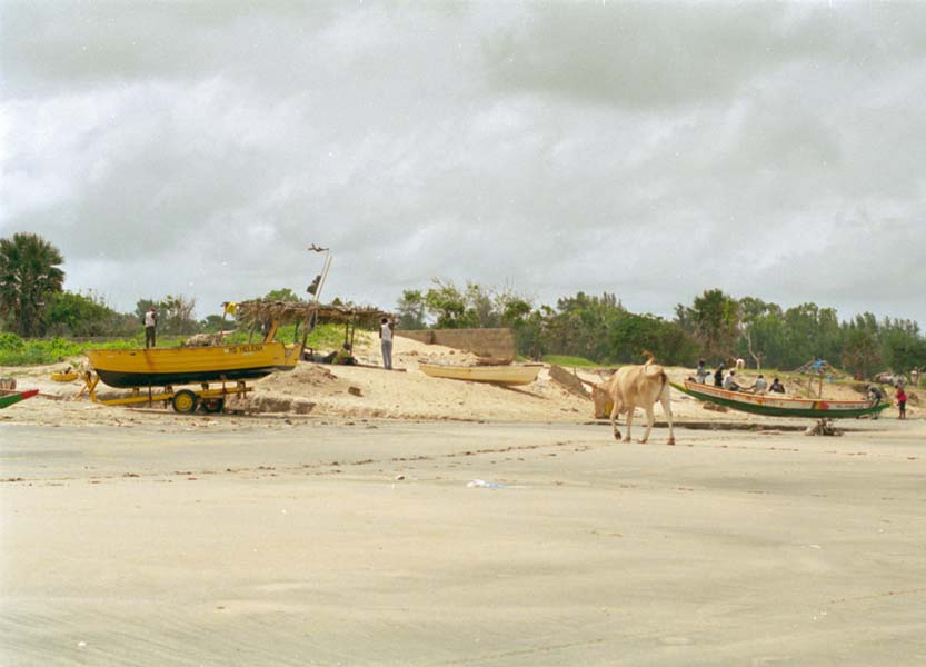 The Gambia Picture beach.1.1.jpg