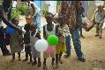 kleintje.4.0.jpg - Thumbnail The Gambia