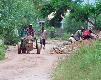 koldon.1.0.jpg - Thumbnail The Gambia