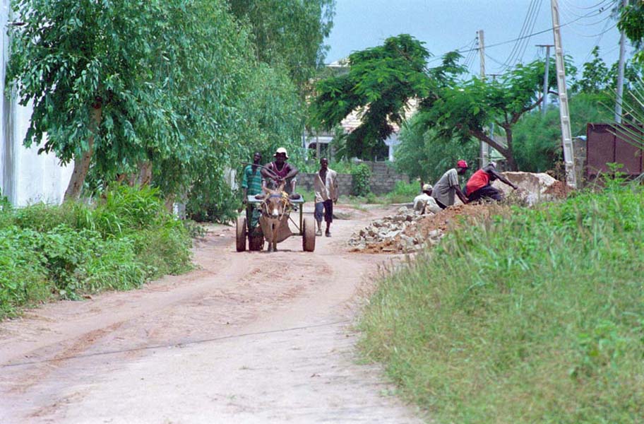 The Gambia Picture koldon.1.1.jpg