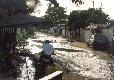 sermud.1.0.jpg - Thumbnail The Gambia