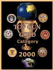 Top Gun On the Internet - Nominated site 1998, 2000