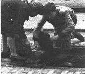 Log between  tramrails for firing