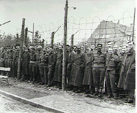 British Pow's